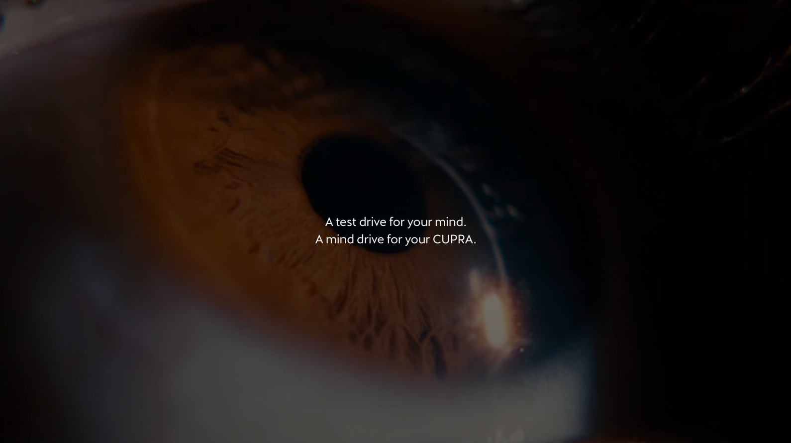 Captura de Pantalla 2025-03-19 a las 14.27.03